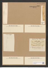 Nitzschia cuvirostirs var. blosterium (Ehr.) V. H. (de-Toni-Nr.: Genus 47, Species 2148) Zeichnungen Sammlung Grunow Nr. 4328 (NHMW-BOT-W0372361)